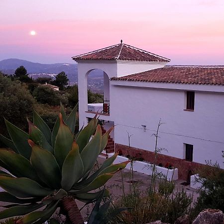 Casa Arts Guest Rooms Alcaucín Екстериор снимка