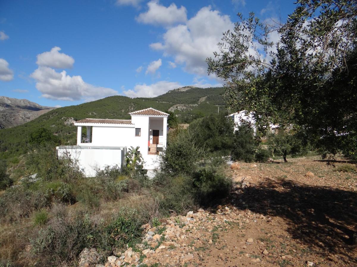 Casa Arts Guest Rooms Alcaucín Екстериор снимка
